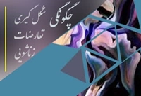 وبینار چگونگی شکل گیری تعارضات زناشویی در دانشگاه علوم پزشکی بیرجند