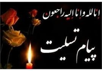 پیام تسلیت معاون فرهنگی ودانشجویی به فرمانده سپاه انصار الرضا(ع)استان